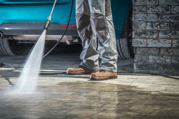 Best Soft Washing for Delicate Surfaces in Fort Thomas, KY